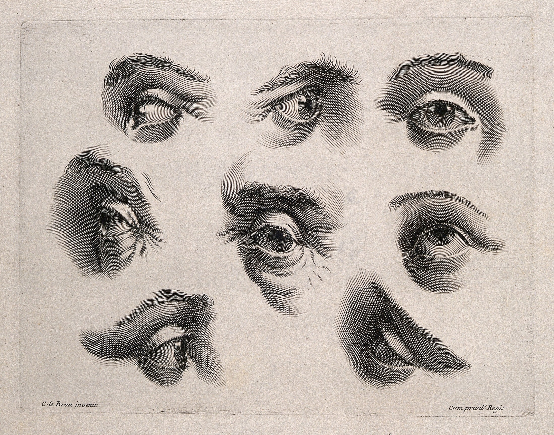 Ocho estudios grabados de ojos y cejas.